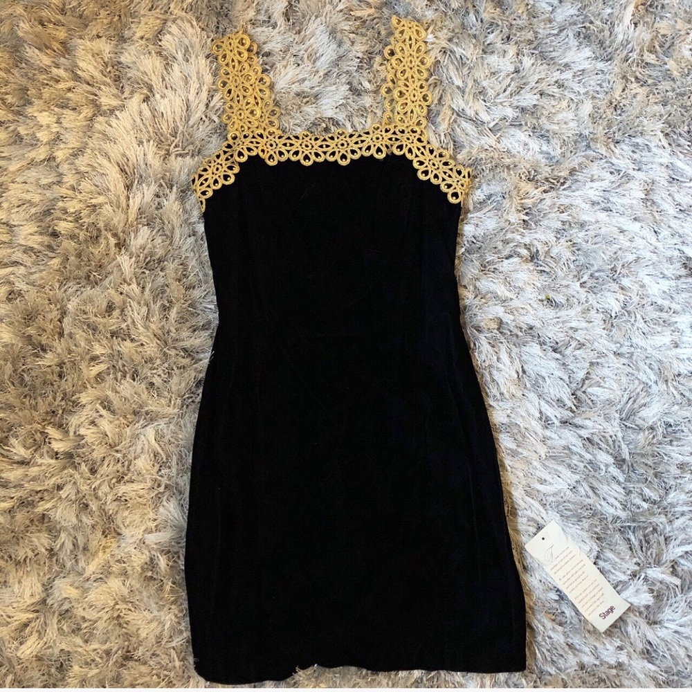 Vintage velour dress